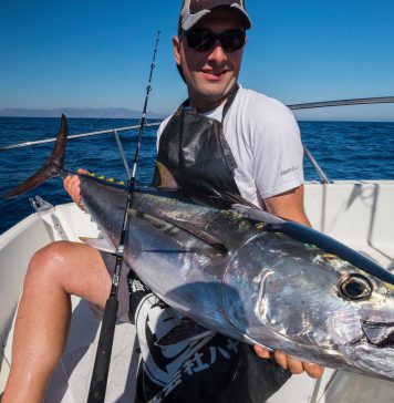 Impresiones de Iscle Martinez Roig sobre el material #Cinnetic