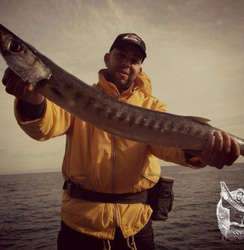 Ou’ss Cav’s, fan de Cinnetic