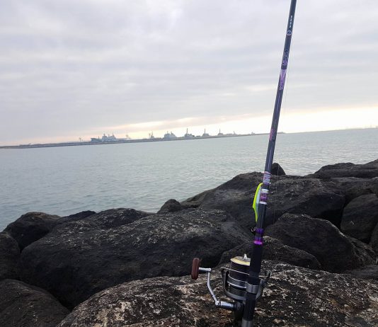 Ímágenes de usuarios