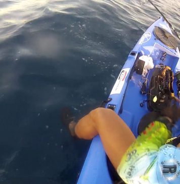 Jaime Vicente Agulló (Astur Kayak) capturando un mero de 7 kilos