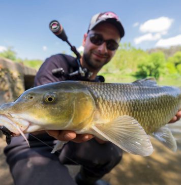 Iscle Martinez Roig: reflexiones sobre los barbos
