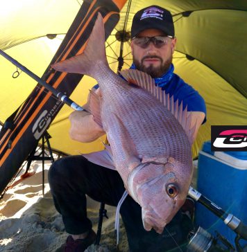 Sama gaditana, un ejemplar difícil desde costa