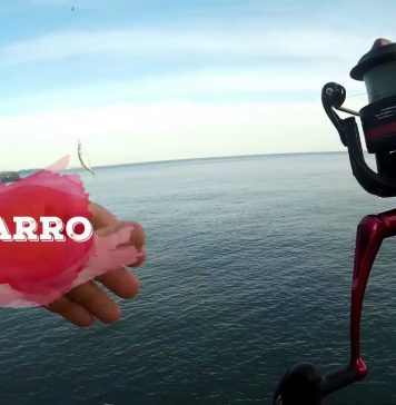 Pesca a plomín con la Cinnetic Cross Power Pulse Evolution 600