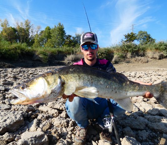 David Niza al rescate!