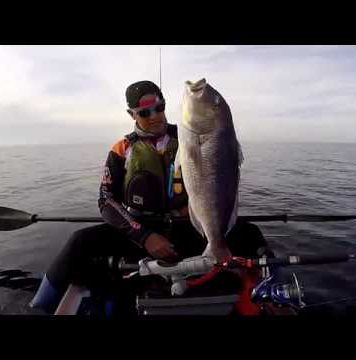 Denton XL para José