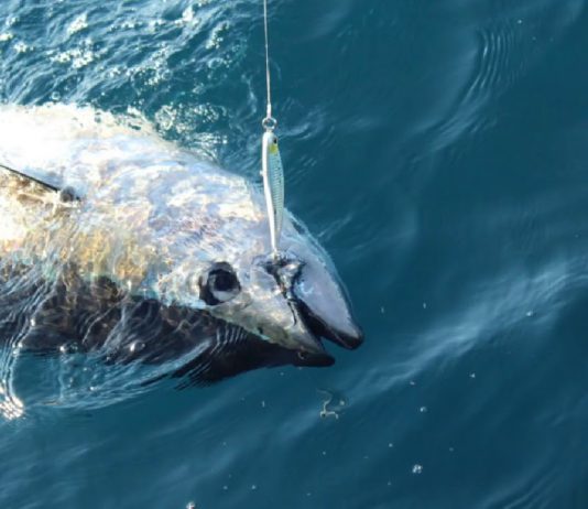 Good feelings Cinnetic Team 2018