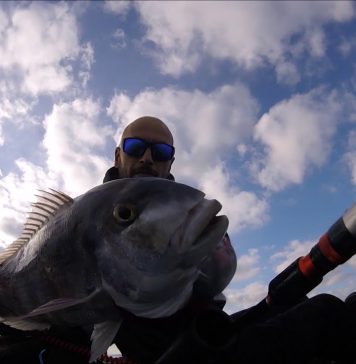 Primera salida de 2019 desde Fuerteventura