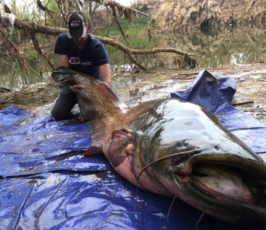 Catfish Game! con David Niza