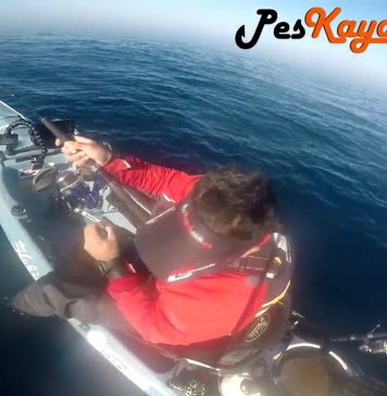 Jaime Agulló pescando un mero por sorpresa