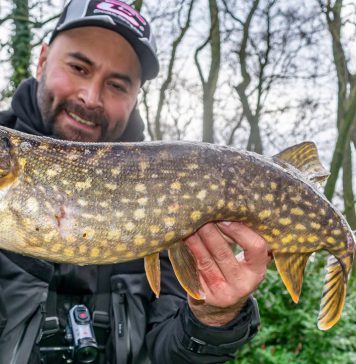 Equipo ligero para lucio en los Paises Bajos
